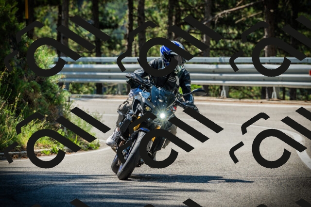 202507191052-DSC03042_c1_