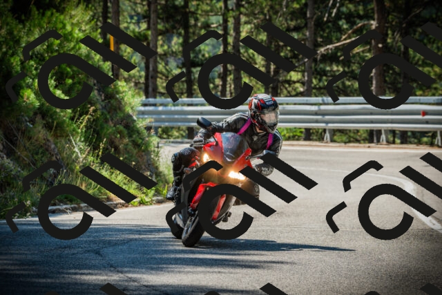 202507191052-DSC03054_c1_