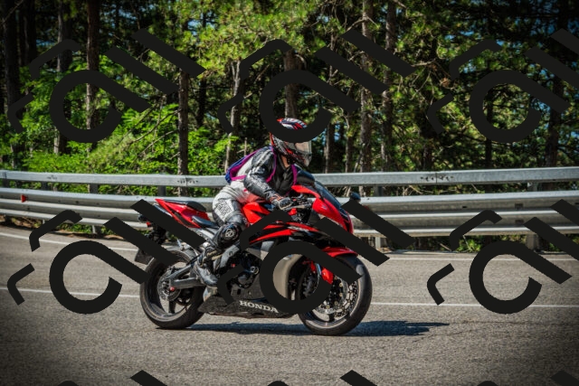 202507191052-DSC03055_c1_