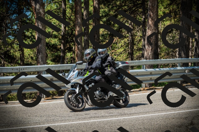 202507191052-DSC03060_c1_