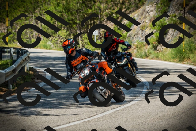 202507191054-DSC03072_c1_