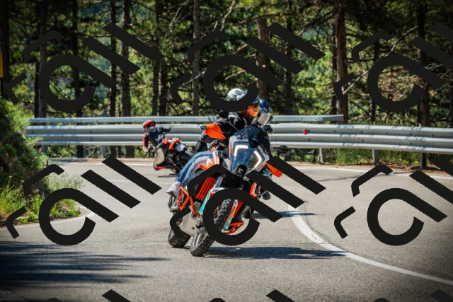 202507191054-DSC03077_c1_