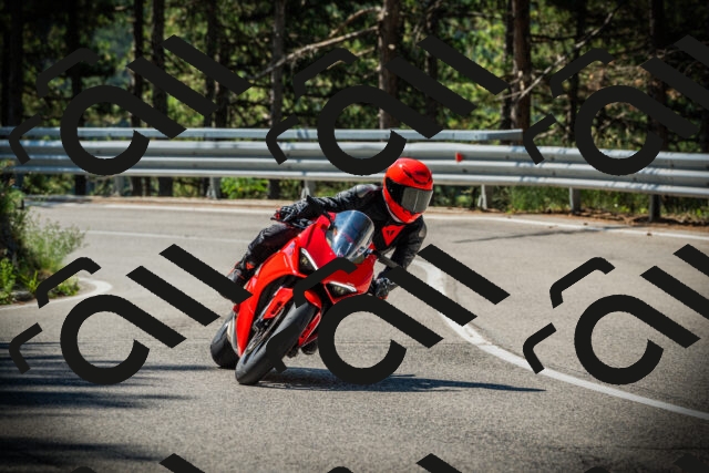 202507191054-DSC03089_c1_