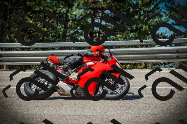 202507191054-DSC03090_c1_