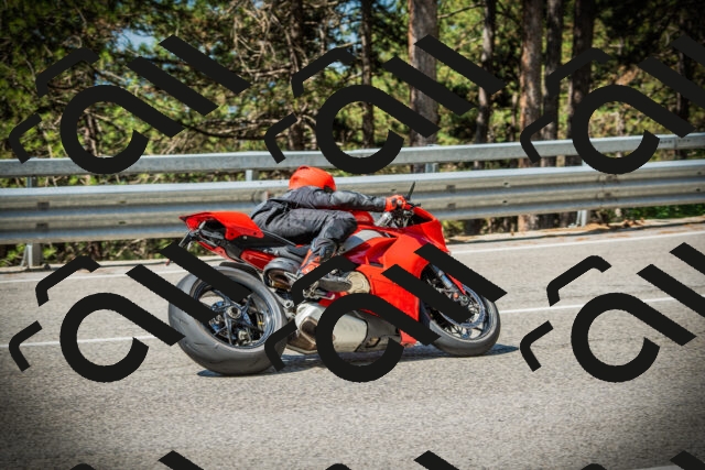 202507191054-DSC03091_c1_