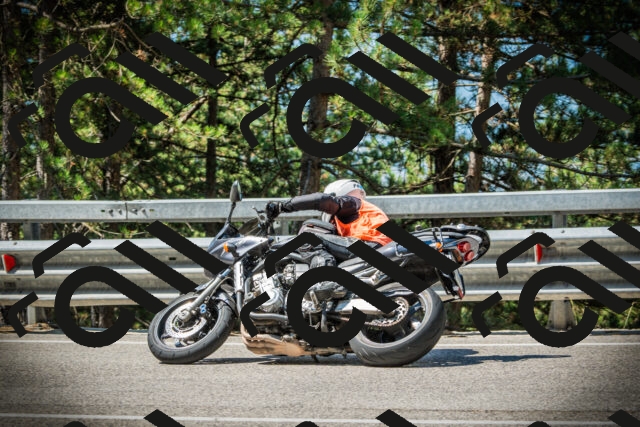 202507191054-DSC03094_c1_