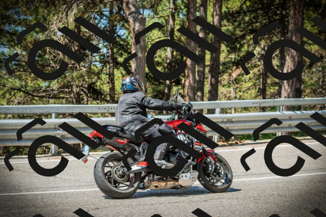 202507191054-DSC03098_c1_