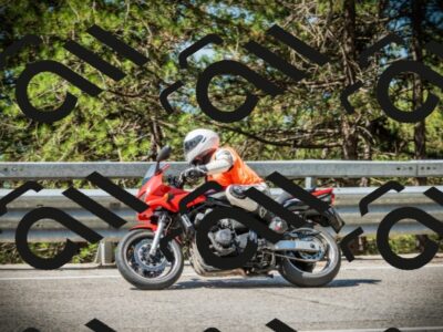 202507191055-DSC03101_c1_