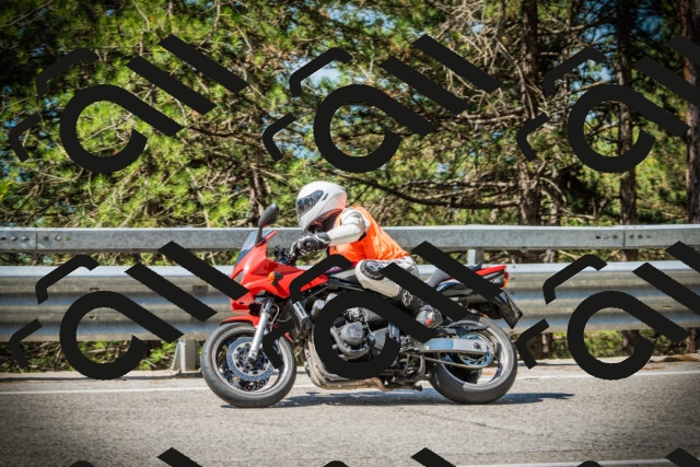 202507191055-DSC03101_c1_