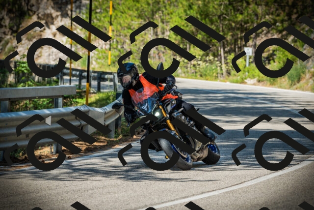 202507191055-DSC03104_c1_