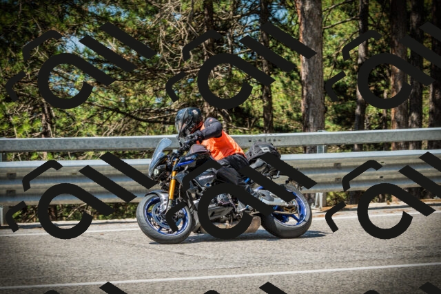 202507191055-DSC03105_c1_