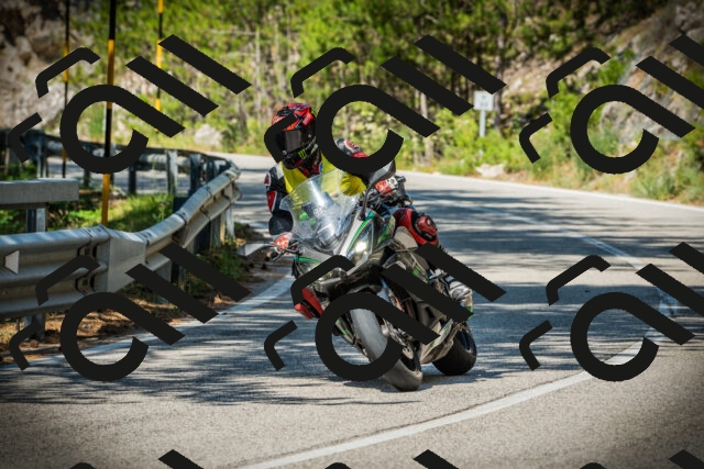 202507191055-DSC03108_c1_