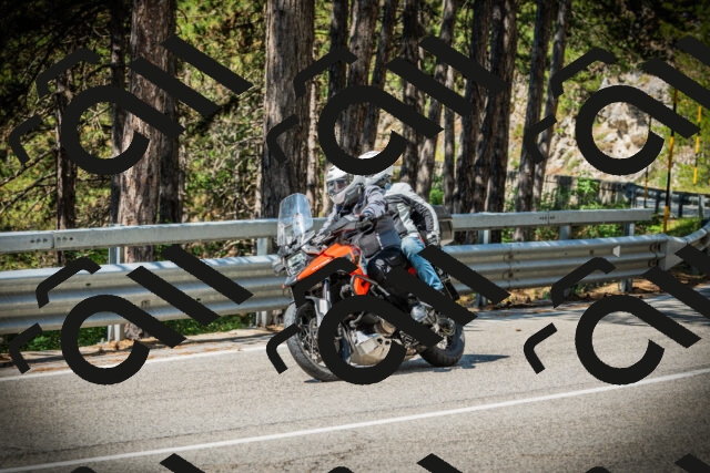 202507191056-DSC03113_c1_