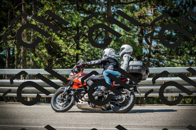 202507191056-DSC03115_c1_