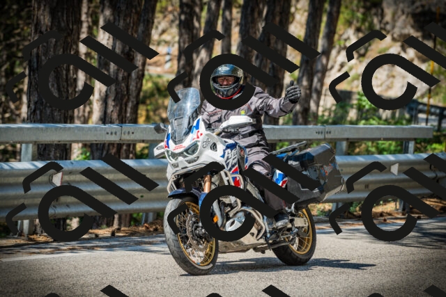 202507191056-DSC03117_c1_