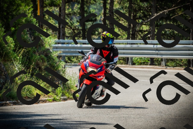 202507191057-DSC03121_c1_