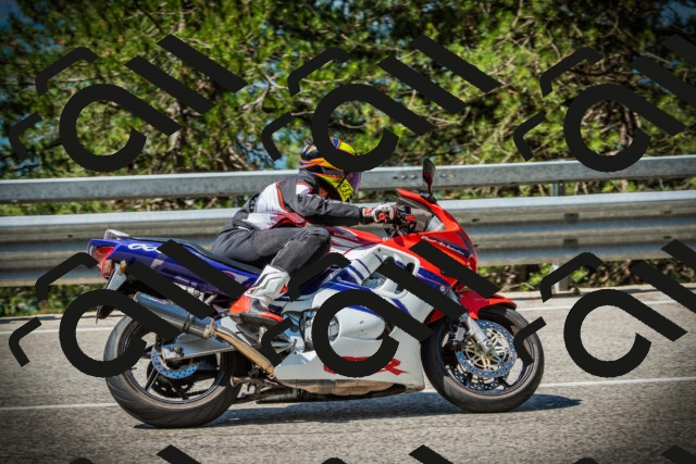 202507191057-DSC03124_c1_