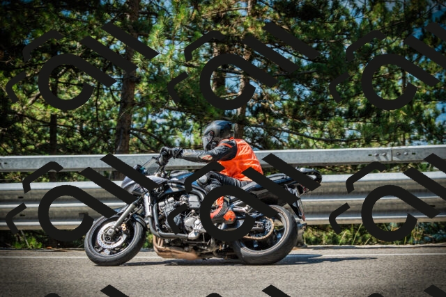 202507191057-DSC03126_c1_