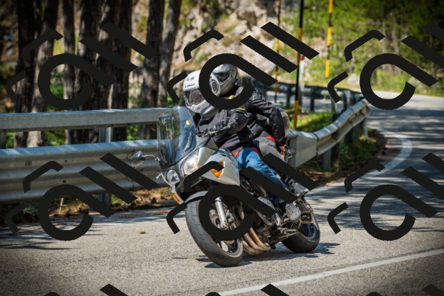 202507191058-DSC03130_c1_