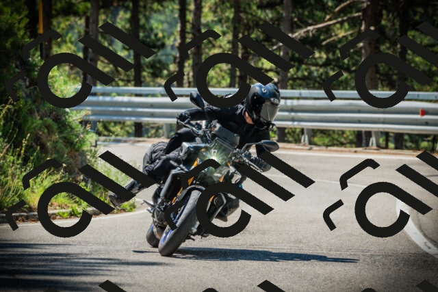 202507191058-DSC03140_c1_