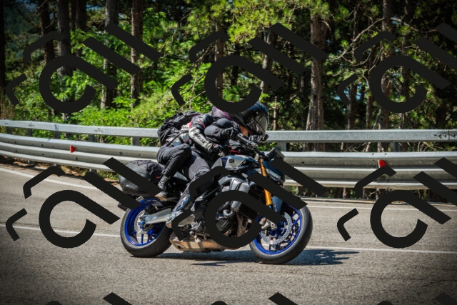 202507191058-DSC03141_c1_