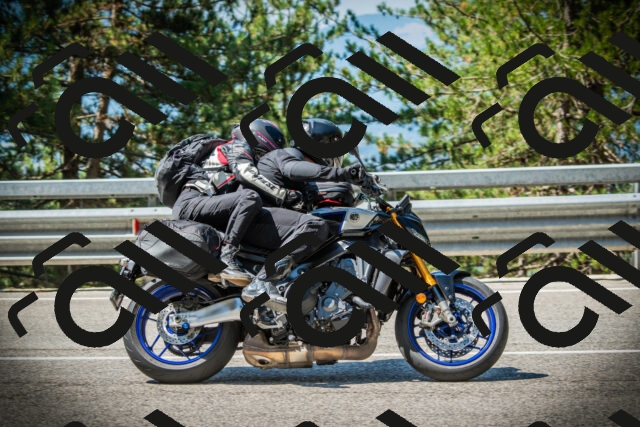 202507191058-DSC03142_c1_