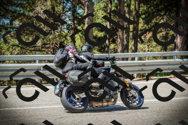 202507191058-DSC03143_c1_