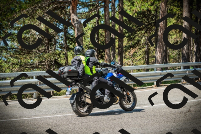 202507191059-DSC03146_c1_