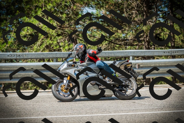 202507191100-DSC03149_c1_