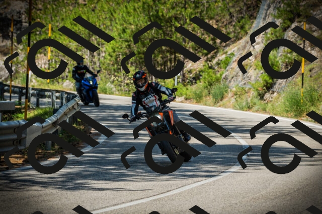 202507191100-DSC03152_c1_