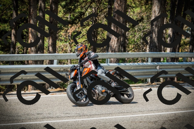 202507191100-DSC03153_c1_