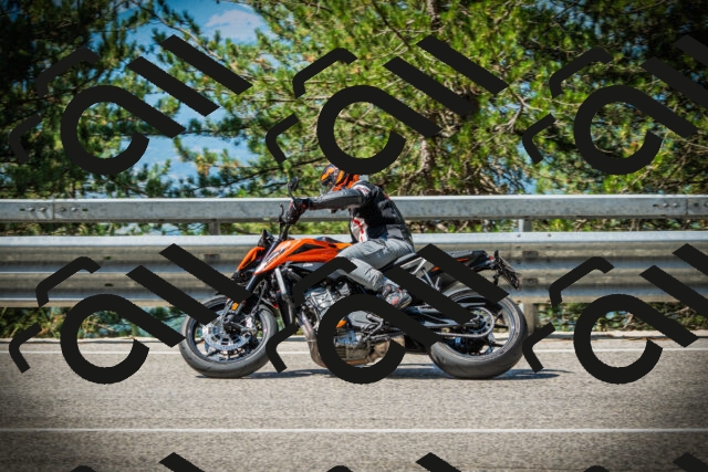 202507191100-DSC03154_c1_