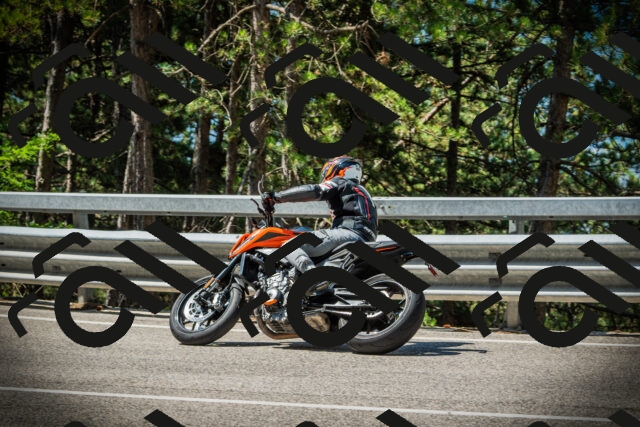 202507191100-DSC03155_c1_