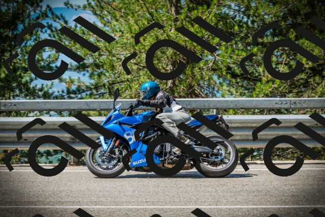 202507191100-DSC03156_c1_