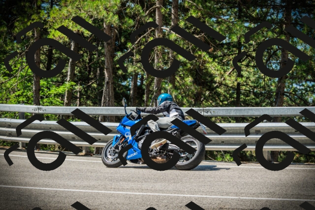 202507191100-DSC03157_c1_