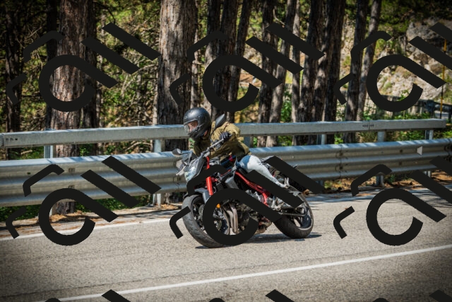 202507191101-DSC03159_c1_