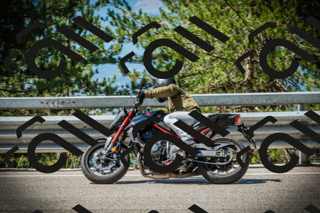 202507191101-DSC03160_c1_