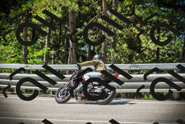 202507191101-DSC03161_c1_