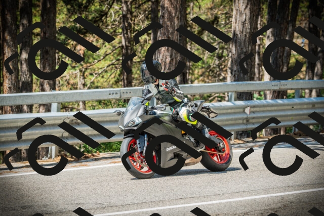 202507191102-DSC03163_c1_