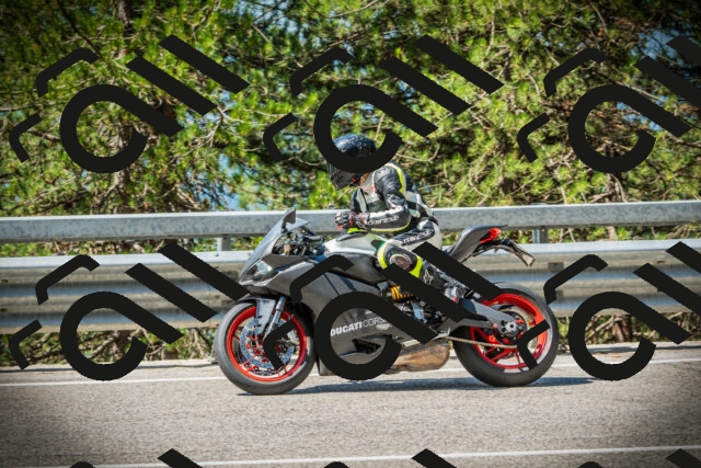 202507191102-DSC03164_c1_