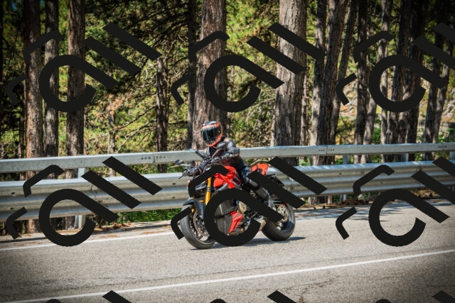 202507191102-DSC03166_c1_