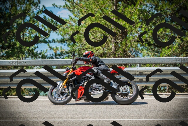 202507191102-DSC03167_c1_