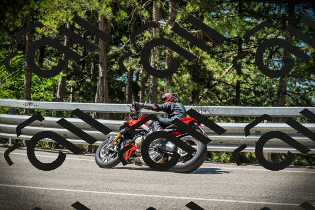 202507191103-DSC03168_c1_