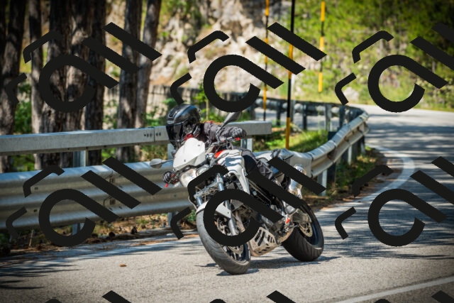 202507191103-DSC03171_c1_