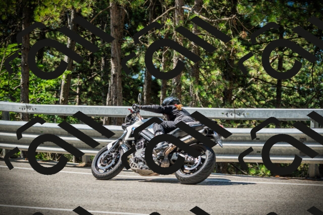 202507191103-DSC03173_c1_