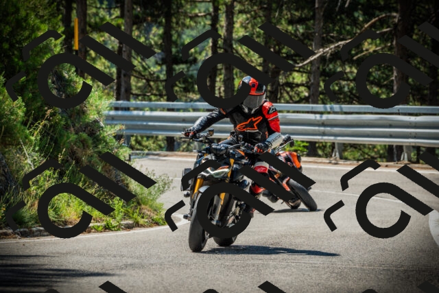 202507191103-DSC03175_c1_