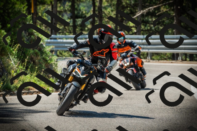 202507191103-DSC03176_c1_