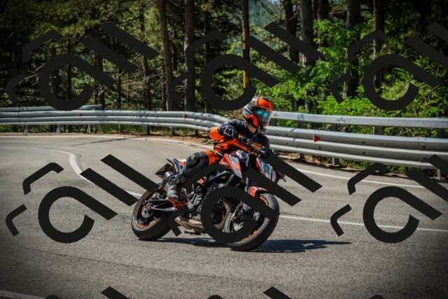 202507191103-DSC03178_c1_