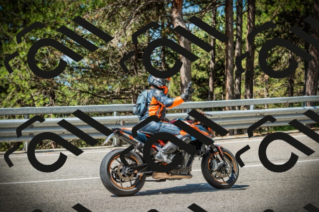 202507191103-DSC03180_c1_