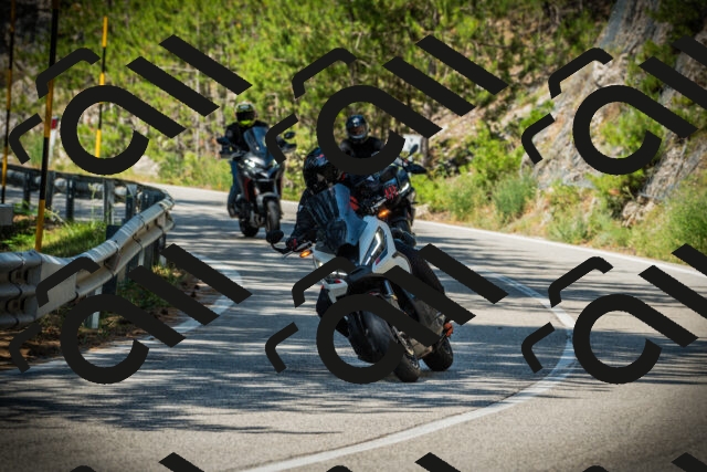 202507191104-DSC03181_c1_